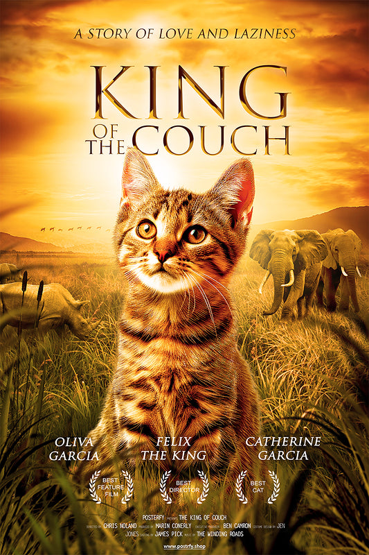 King Of The Couch
